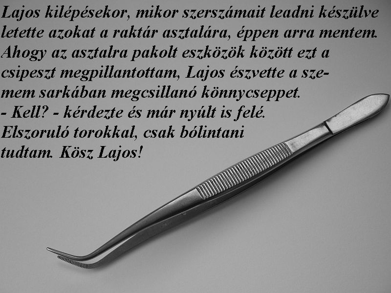 Machovics Lajos.jpg